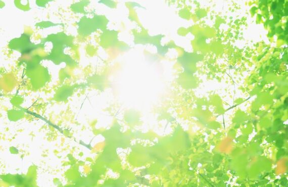 給湯器、水回り、浴室、キッチンの不具合でお悩みの方はインテルナアカイワまでご相談ください。